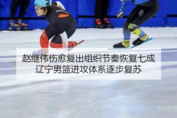 赵继伟伤愈复出组织节奏恢复七成 辽宁男篮进攻体系逐步复苏